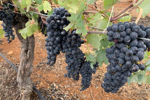 Hunter Valley Private Tour - Accommodation NT 14