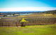Hunter Valley Private Tour - thumb 8