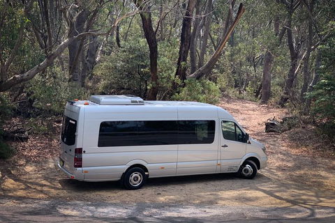 Sydney And Regional Transport - Accommodation NT 10