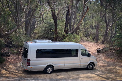 Sydney And Regional Transport - Accommodation NT 6