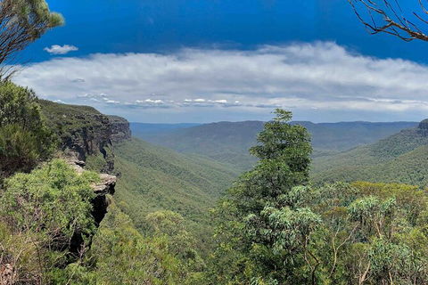 Blue Mountains Private Charter - Accommodation NT 18
