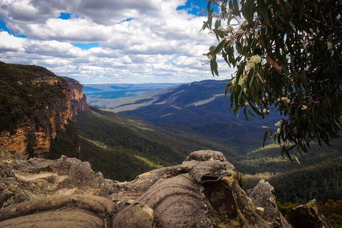Blue Mountains Private Charter - Accommodation NT 8