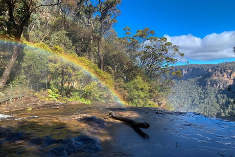 Blue Mountains Private Charter - Accommodation NT 5