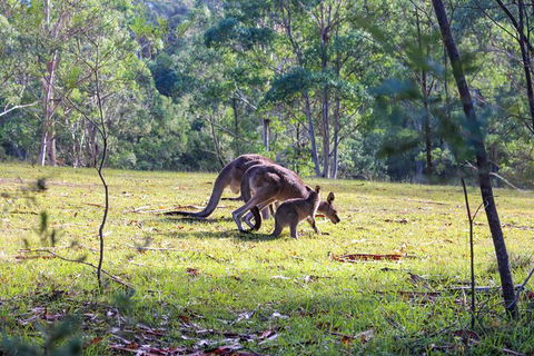 Blue Mountains Private Charter - Accommodation NT 2