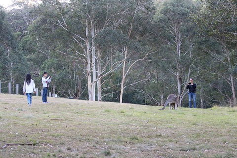 Blue Mountains Private Charter - Accommodation NT 20