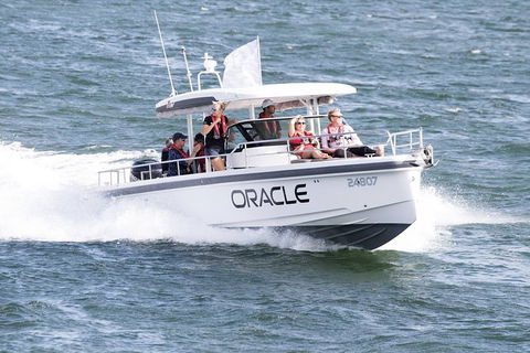 Whales Of Sydney Safari - Accommodation NT 5