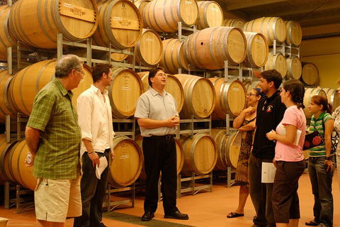 Hunter Valley Small Group Luxury Wine Tasting Tour From Sydney - Accommodation NT 7