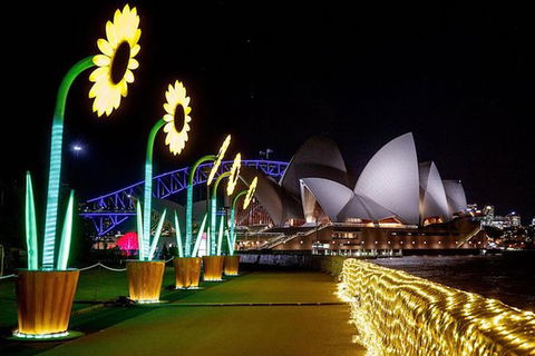 Private Vivid Sydney Harbour Cruise For Up To 20 Guests - Accommodation NT 6