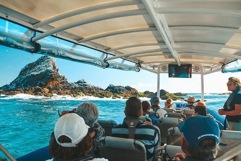 Julian Rocks Byron Bay Cruise - Accommodation NT 13