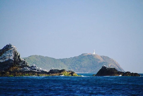 Julian Rocks Byron Bay Cruise - Accommodation NT 2