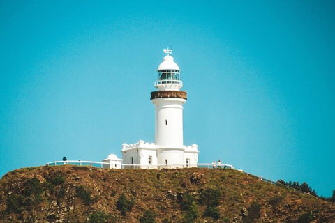 Julian Rocks Byron Bay Cruise - Accommodation NT 12