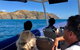Julian Rocks Byron Bay Cruise - thumb 3