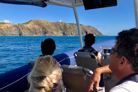 Julian Rocks Byron Bay Cruise - Accommodation NT 3