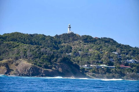Julian Rocks Byron Bay Cruise - Accommodation NT 7