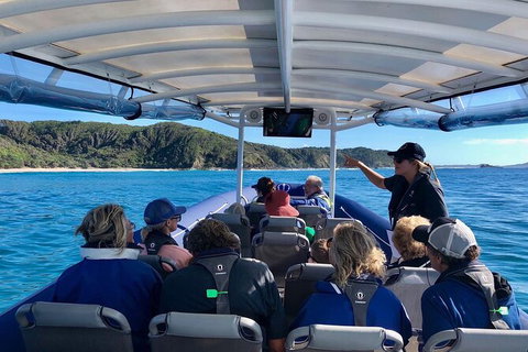 Julian Rocks Byron Bay Cruise - Accommodation NT 11