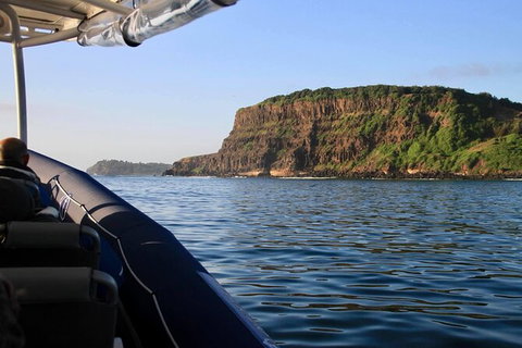 Julian Rocks Byron Bay Cruise - Accommodation NT 17