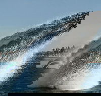 2hr Explorer Cruise - Sydney's best value whale watching cruise - Accommodation NT