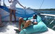Sydney Party Boat And Cruise Hire - thumb 5