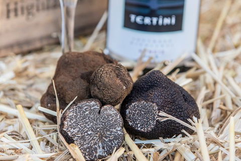 Truffle Hunts With Lunch - Southern Highlands - Accommodation NT 0