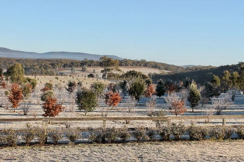 Truffle Hunts With Lunch - Southern Highlands - Accommodation NT 1