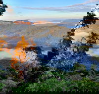 Private 10-hour Tour to Blue Mountains from Sydney - Hotel pick up  drop off - Accommodation NT