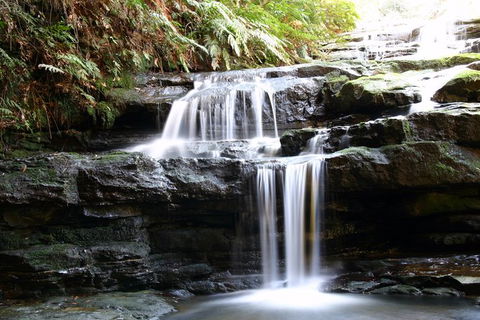 Private 10-hour Tour To Blue Mountains From Sydney - Hotel Pick Up & Drop Off - Accommodation NT 6