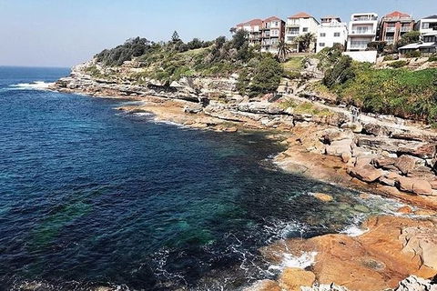 Sydney With Bondi And Beaches Essentials Private Day Tour - Accommodation NT 1