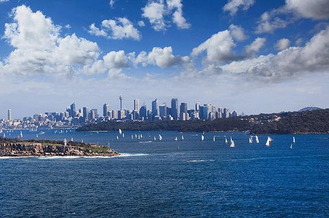Sydney With Bondi And Beaches Essentials Private Day Tour - Accommodation NT 7
