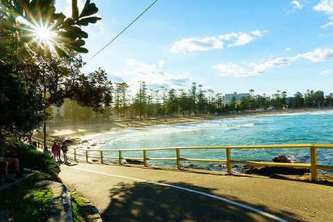 Sydney With Bondi And Beaches Essentials Private Day Tour - Accommodation NT 8