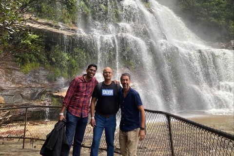 Blue Mountains Highlights & Wildlife Park - Accommodation NT 4