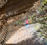 Blue Mountains Highlights  Wildlife Park - Accommodation NT
