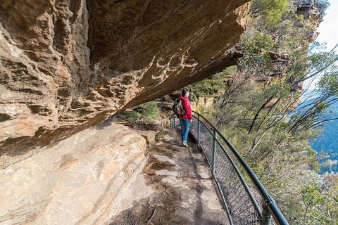 Blue Mountains Highlights & Wildlife Park - Accommodation NT 0