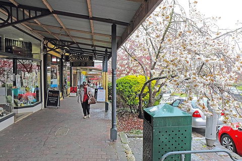 Blue Mountains Highlights & Wildlife Park - Accommodation NT 2