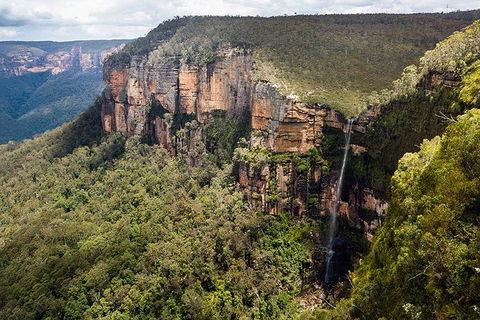 Blue Mountains Highlights & Wildlife Park - Accommodation NT 9