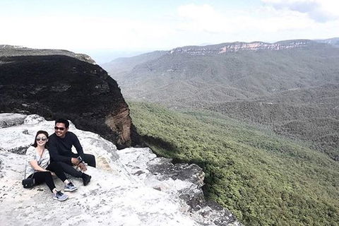 Blue Mountains Highlights & Wildlife Park - Accommodation NT 5