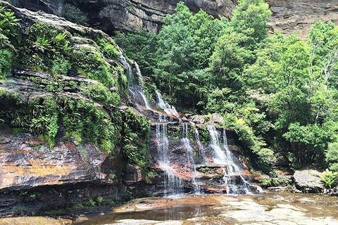 Blue Mountains Highlights & Wildlife Park - Accommodation NT 8