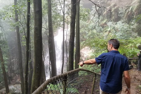 Blue Mountains Highlights, Wildlife Park And Scenic World Full Day Private Tour - Accommodation NT 6