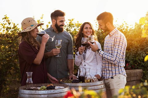 Hunter Valley Highlights Private Wine Tour From Sydney - Accommodation NT 0
