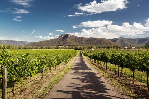Hunter Valley Highlights Private Wine Tour From Sydney - Accommodation NT 2