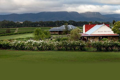 Hunter Valley Highlights Private Wine Tour From Sydney - Accommodation NT 5