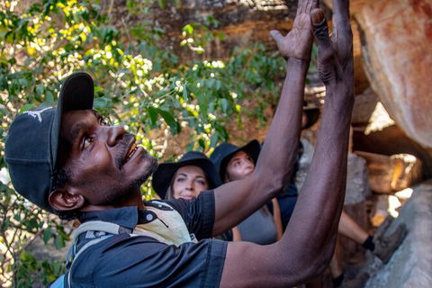 Arnhem Land Injalak Hill Full-Day Tour From Jabiru - Accommodation NT 0