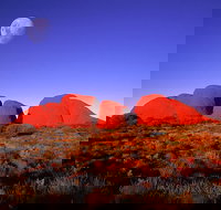 Kata Tjuta Afternoon Walpa Gorge Tour - Accommodation NT