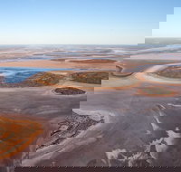 Helicopter Scenic Lizard Safari - Accommodation NT