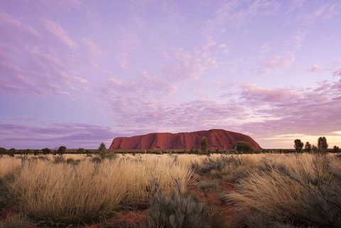 Explore Uluru: 7 Hours Guide Tour At Sunrise With Light Breakfast - Accommodation NT 4