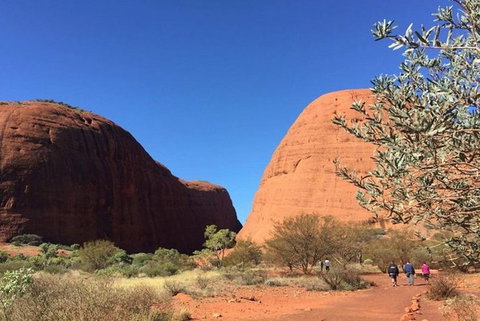 5-Hour Kata Tjuta Sunrise Tour From Ayers Rock With Breakfast - Accommodation NT 2