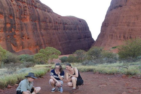 5-Hour Kata Tjuta Sunrise Tour From Ayers Rock With Breakfast - Accommodation NT 3