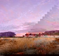 Sunset Australian Barbecue Dinner in Uluru - Accommodation NT