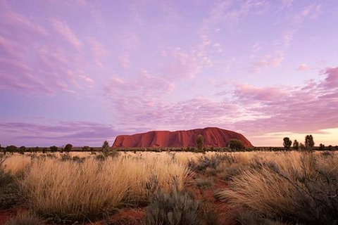 Sunset Australian Barbecue Dinner In Uluru - Accommodation NT 0