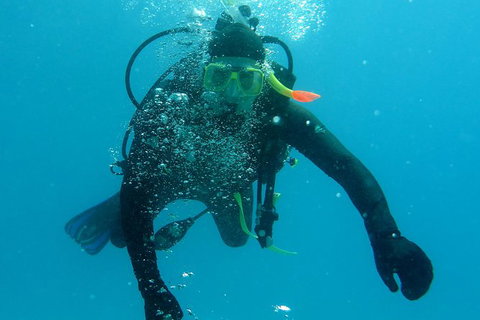 Seastar Luxury Outer Great Barrier Reef Island And Reef Tour From Cairns - Accommodation NT 1