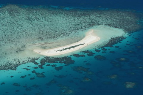 Seastar Luxury Outer Great Barrier Reef Island And Reef Tour From Cairns - Accommodation NT 5